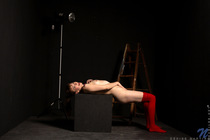 Preview photo for Red Rose