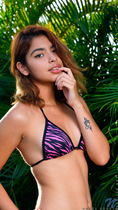 Preview photo for Taste Of Paradise